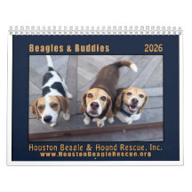 Beagles and Buddies Calendar 2026