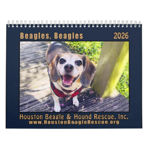 Beagles Beagles Muurkalender 2026 Kalender
