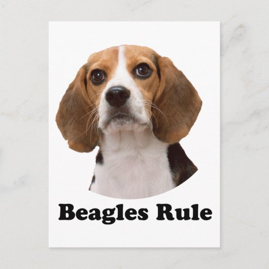 Beagles Briefkaart (Voorkant)