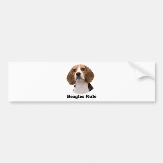 Beagles Bumpersticker (Voorkant)