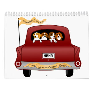 Beagles en Buddies 2026 Agenda Kalender