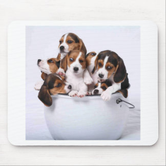 Beagles in Bucket Muismat