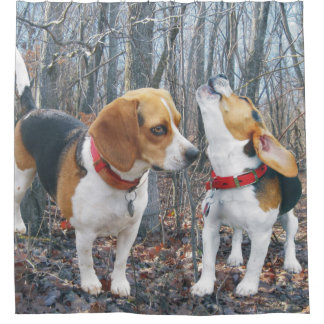 Beagles in de Bossen Douchegordijn