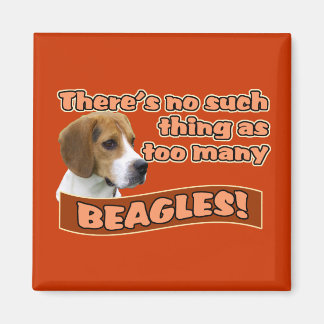 BEAGLES MAGNEET