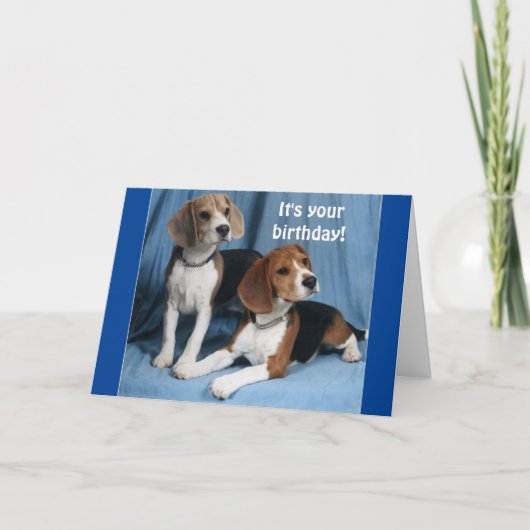 **BEAGLES** WENSEN JE EEN HEEL GELUKKIGE VERJAARDA KAART (Voorkant)