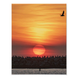 Beaitiful Sunset Colors - Marina Del Rey, CA Foto Afdruk