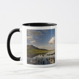 Bear Butte weerspiegelt in Bear Butte Lake nabij Mok