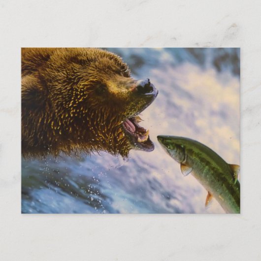 BEAR FISH WILD ANIMAL POSTCROSSING BRIEFKAART (Voorkant)