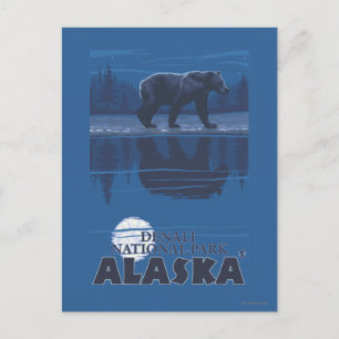 Bear in Moonlight - Denali National Park, Alaska Briefkaart