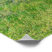 Bear Lake, Utah Poster (Coin)