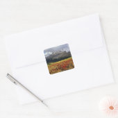 Bearberry begin herfst Athabasca Peak Vierkante Sticker (Envelop)
