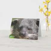 Bearcat-Wenskaart Kaart (Gele Bloem)