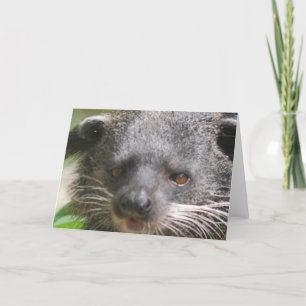 Bearcat-Wenskaart Kaart