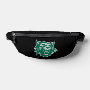 Bearcats du Missouri Nord-Ouest