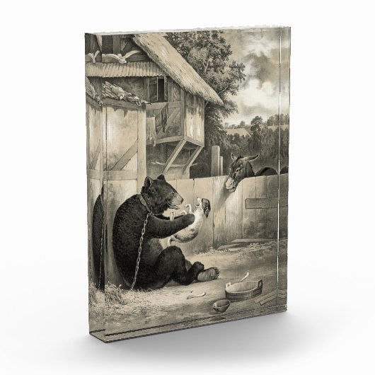 Beard - Bear, Dog and Donkey Fotoblokken (Links)