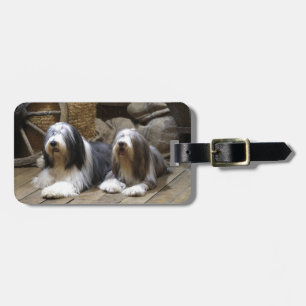 Bearded Collie Bagagelabel