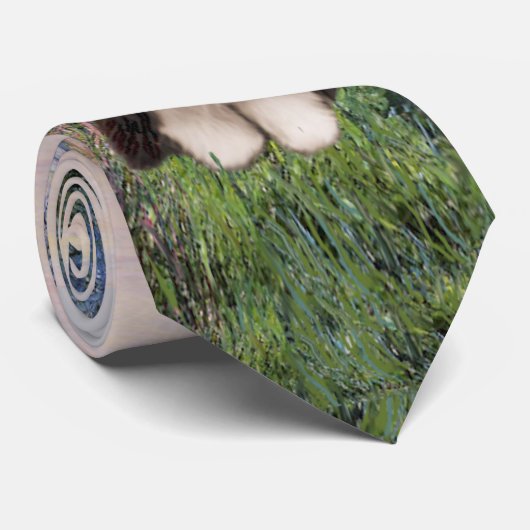 Bearded Collie beroemd gemaakt door The Seine Stropdas (Opgerold)