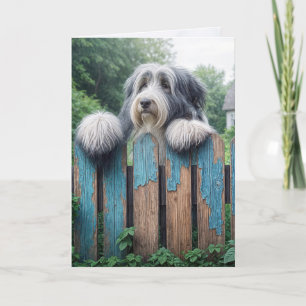 Bearded Collie Denken aan jou Kaart