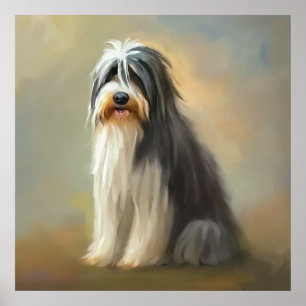 Bearded Collie Dog Poster