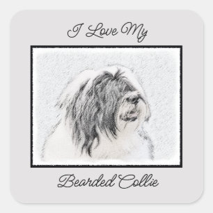 Bearded Collie Drawing - Cute Original Dog Art Vierkante Sticker