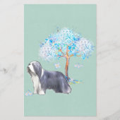 Bearded Collie Flyer (Voorkant)