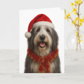Bearded Collie in a Santa hat Christmas card Kaart (Gele Bloem)