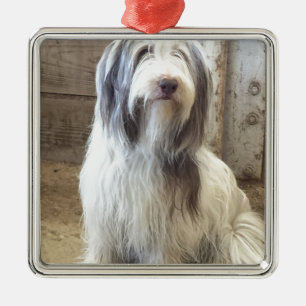Bearded Collie Metalen Ornament