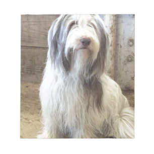 Bearded Collie Notitieblok