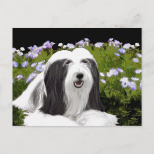 Bearded Collie Painting - Cute Original Dog Art Briefkaart