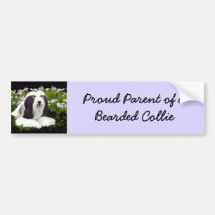 Bearded Collie Painting - Cute Original Dog Art Bumpersticker