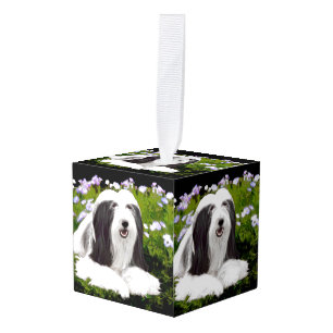Bearded Collie Painting - Cute Original Dog Art Kubus Ornament