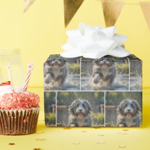 Bearded Collie spatten in plas Cadeaupapier