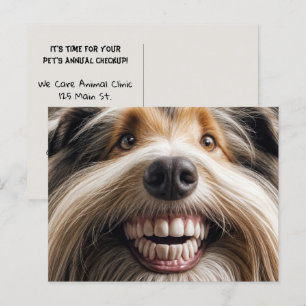 Bearded Collie Toothy Smile Briefkaart