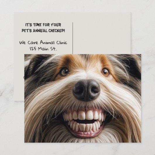 Bearded Collie Toothy Smile Briefkaart (Voorkant / Achterkant)