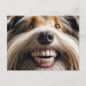 Bearded Collie Toothy Smile Briefkaart (Voorkant)