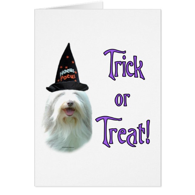 Bearded Collie Trick (Voorkant)