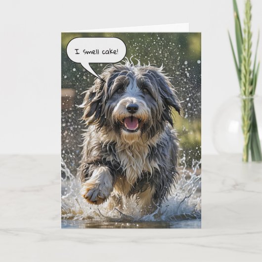 Bearded Collie voor Verjaardag Kaart (Voorkant)