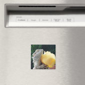 Bearded Dragon en Yellow Rose Magneet (Insitu (Vaatwasser))