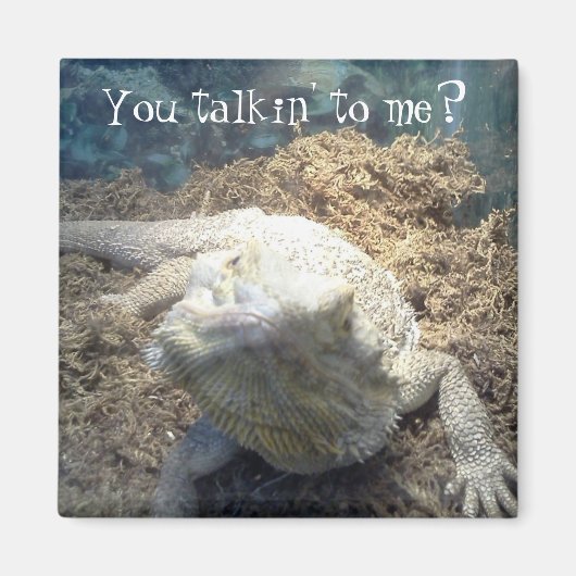 Bearded Dragon Magnet Magneet (Voorkant)
