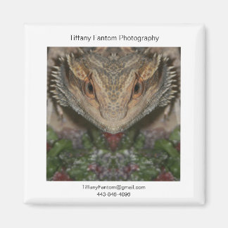 Bearded Dragon Promo Stuk Magneet