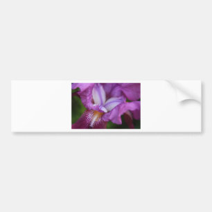 Bearded German Iris Bumpersticker