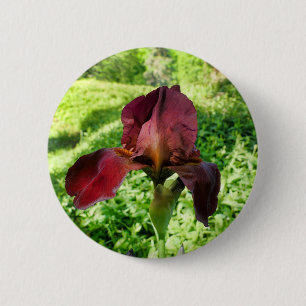 Bearded Iris Badge Ronde Button 5,7 Cm