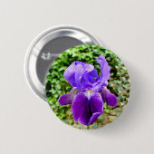 Bearded Iris Badge Ronde Button 5,7 Cm (Voorkant /achterkant)