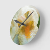 Bearded iris close-up ronde klok (Hoek)