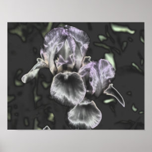 Bearded Iris Flower Pair Metallic Abstracte kunst Poster
