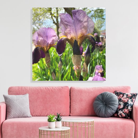Bearded Iris Flowers Canvas Afdruk (Insitu (Woonkamer))
