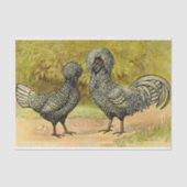 Bearded Silver Polish Hen en Rooster Boerderij Tissuepapier (Voorkant)