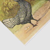 Bearded Silver Polish Hen en Rooster Boerderij Tissuepapier (Detail)