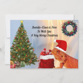 Beardie-Claus - Bearded Dragon (Voorkant)