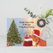 Beardie-Claus - Bearded Dragon (Staand voorkant)